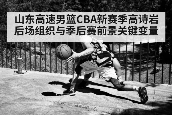 山东高速男篮CBA新赛季高诗岩后场组织与季后赛前景关键变量