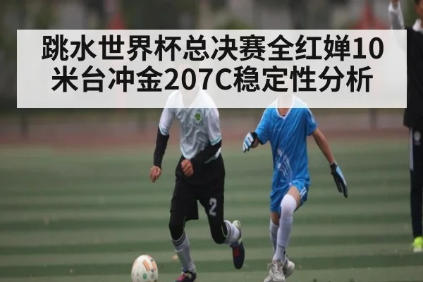 跳水世界杯总决赛全红婵10米台冲金207C稳定性分析